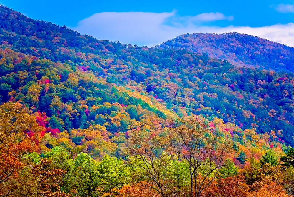 gatlinburg in the fall